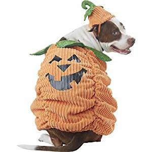 Pet Costumes : Amazon.com: Petco Pumpkin Halloween Dog ...