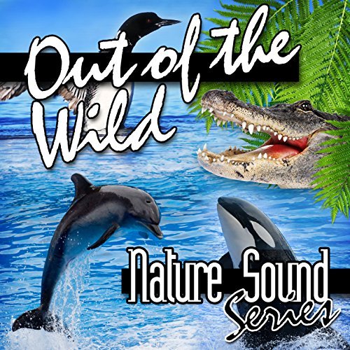 Dolphin Voices Underwater by Nature Sound Series on Amazon ...