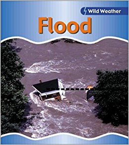 Flood (Wild Weather): Catherine Chambers: 9781403401120 ...