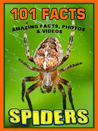 101 Facts... SPIDERS! Amazing Facts, Photos & Video Links ...