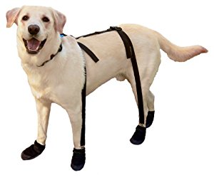 Amazon.com : Canine Footwear Suspenders Snuggy Boots for ...