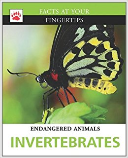 Invertebrates (Facts at Your Fingertips): Munro-Goodwin ...