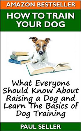How To Train Your Dog: What everyone should know about ...