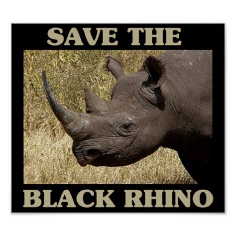 Save the Black Rhino Print | Zazzle