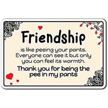 Amazon.com: 5x8 Vintage Style Sign Saying, "Our Friendship ...