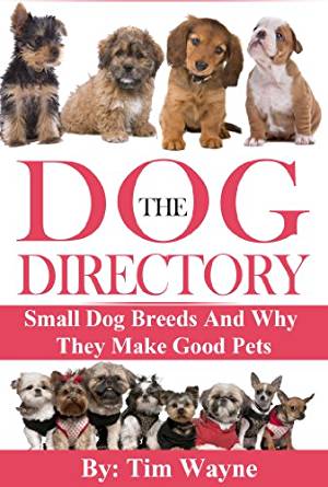 The Dog Directory: Small Dog Breeds And Why They Make Good ...