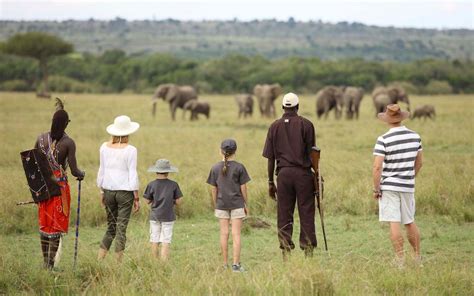 Why you Should Experience Kenya Tanzania Safaris