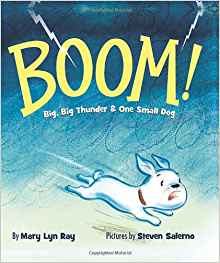 BOOM!: Big, Big Thunder & One Small Dog: Mary Lyn Ray ...