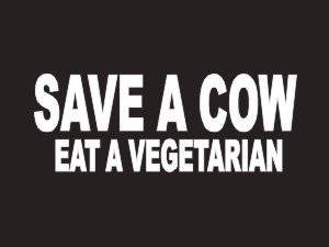 Amazon.com: #130 Save A Cow Eat A Vegetarian Bumper ...