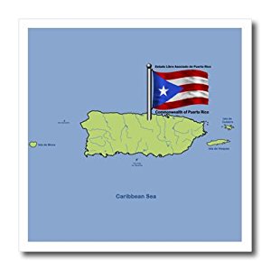Amazon.com: 3dRose ht_49046_1 Flag and Map of Puerto Rico ...