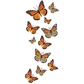 Amazon.com: Temporary Butterfly Tattoos (Free Shipping ...