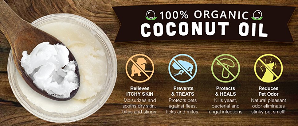 Amazon.com : Raw Paws Pet Organic Coconut Oil for Dogs ...