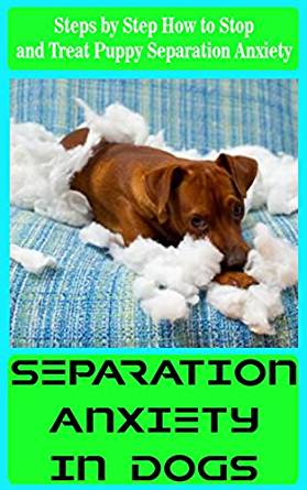 Separation Anxiety In Dogs: Steps by Step How to Stop and ...
