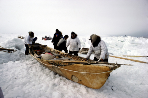 Umiak Eskimo Boat Made With Walrus Skin Covering Barrow ...
