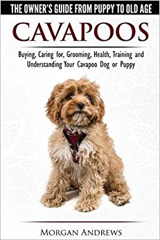 Cavapoos - The Owner's Guide From Puppy To Old Age ...
