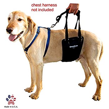 Amazon.com : Dog Lifting Aid - Mobility Harness - Large ...